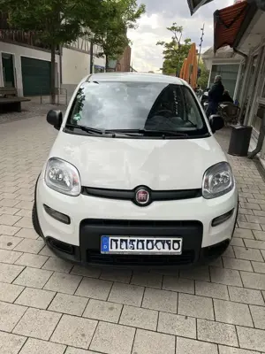 Fiat New Panda Hybrid