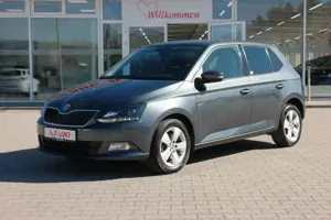 Skoda Fabia 1.0 TSI Drive Klimaaut. Sitzheizung PDC