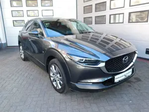 Mazda CX-30 SKY-G122 Selection Design-P./Matrix-LED/BSM/SHZ/"A