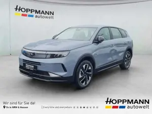 Opel Grandland Edition*SHZ*LHZ*Kamera*PDCv+h*