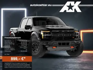 Ford Others