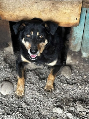 Barnie hat die Sonne im Herzen Bild 10