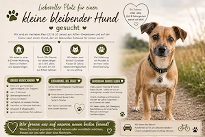 wir möchten einem kleinen Hund einen Liebevollen Platz bei uns geben.