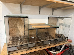 Verschiedene Terrarien 