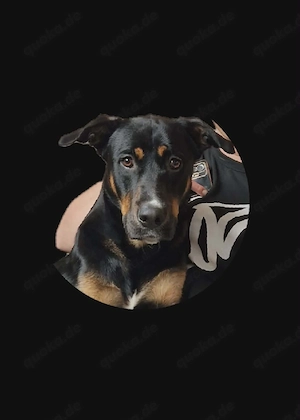 notabgabe 