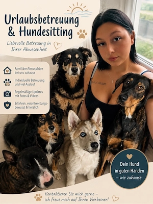Hundes, sitting Urlaubsbetreuung