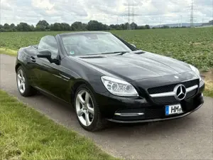 Mercedes-Benz SLK 200 SLK 200 BlueEfficiency (172.448)