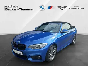 BMW 228 i Cabrio M SPORT/ Top Zustand / Doppelt bereift/ L
