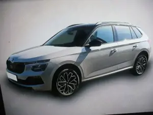 Skoda Kamiq Selection Kamera PDC v+h SHZ ALU