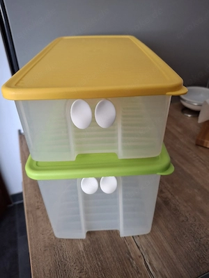 2 Tupperware Prima Klima
