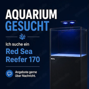Red Sea Reefer 170 gesucht - Meerwasser Aquarium 