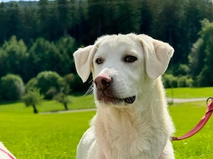 Cannella sucht ihr Zuhause