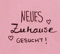 Existenziell wichtig: eine Wohnung zu finden.