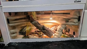 Kunststoffterrarium Reptilien 100 50 50