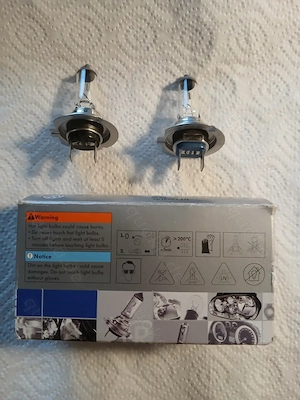 Halogenglühlampe H7 12V - 55W Bild 2