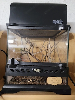 Exo Terra Terrarien