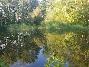 Hallo Damenwelt,  ich würde gerne eine Frau kennenlernen 