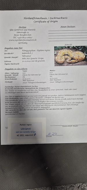 Verkaufe 2 Königspython mit Herkunftsnachweis