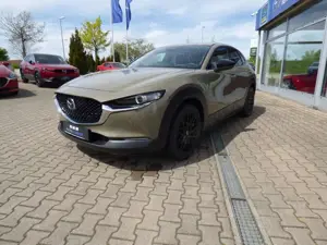 Mazda CX-30 2,5 e-SKYACTIV-G 140 M Hybrid Homura, Navi, Kamera
