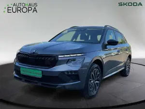 Skoda Kamiq 1.0 TSI Balance ACC AHK Navi Matrix LM SpurW SpurH