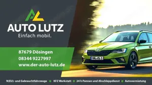 Skoda Kamiq Selection 1,0 TSI DSG Kamera Sitzheizung