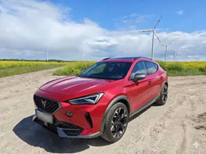 CUPRA Formentor Formentor VZ 2.0 TSI 4Drive DSG Tribe Edition