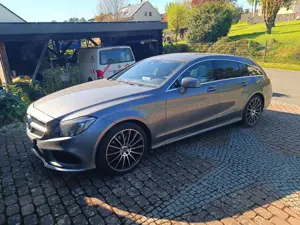 Mercedes-Benz CLS 250 CLS 250 BlueTec / d 4Matic (218.997)
