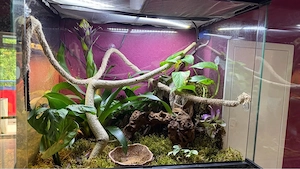 Terrarium 60x60x45