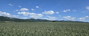 Die Natur gemeinsam geniessen ;-)