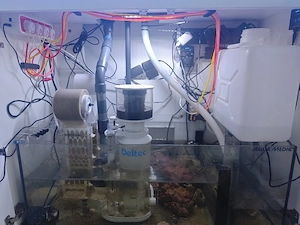 Meerwasser Aquarium 400L komplett 
