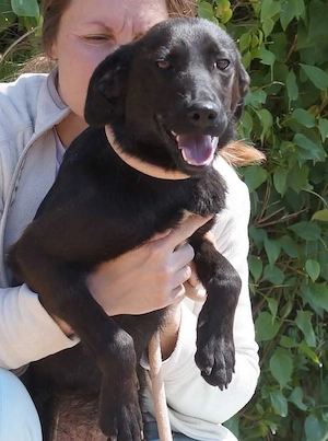 Betty zuhause gesucht 