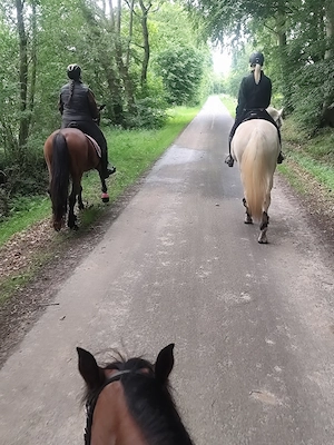 Reitunterricht Reitbeteiligung Reittherapie Kinderpony 