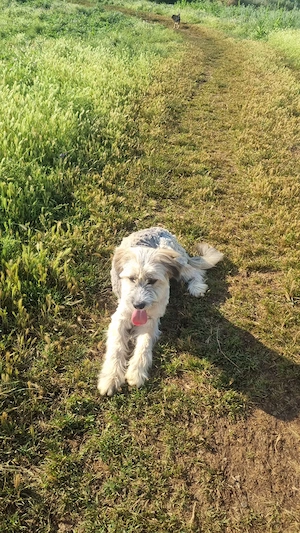 Leif wartet in Mangalia Bild 2