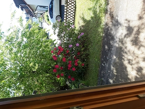 2-Zimmer Eigentumswohnung zu verkaufen (privat)