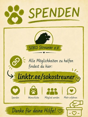    Lord Nelson hat gekämpft   jetzt sucht er sein Happy End!  Bild 8