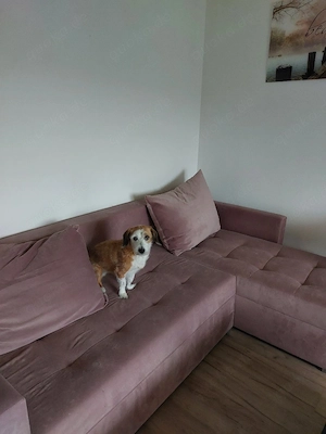 Hilferuf... Gina sucht dringend ein neues Zuhause..