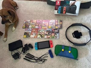 nintendo switch neon 