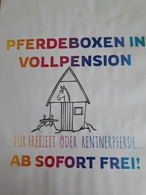 Pferdeboxen frei 