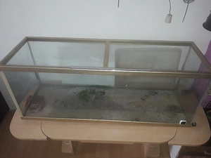1.30Aquarium 