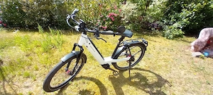 E-bike von Riese und Müller mit Rolloff-Schaltung zu verkaufen