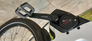 E-bike von Riese und Müller mit Rolloff-Schaltung zu verkaufen Bild 6