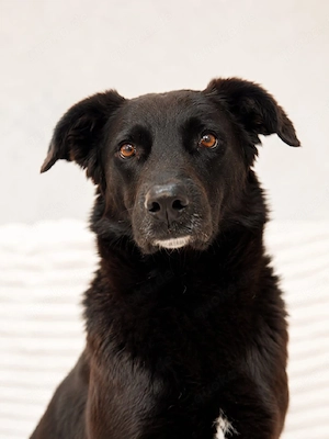 Oliver - will nicht mehr im Shelter warten!