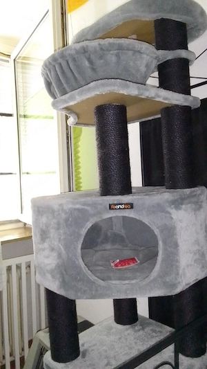 katzenbaum