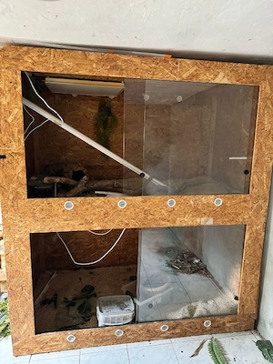 Terrarium OSB gross
