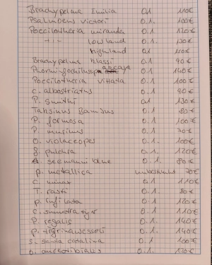 Vogelspinnen zu verkaufen 
