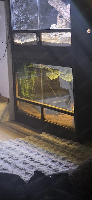3 OSB Terrarium 120 60 60