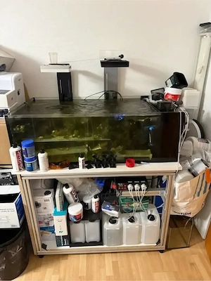 Meerwasser Ableger Becken Aquarium 110x60x35 Poolbecken mit viel Zubehör shallow reef