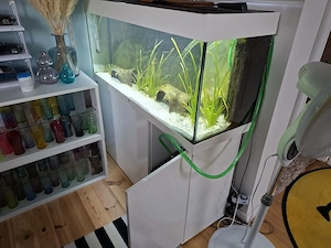 JUERL Aquariun Rio 240 SBX mit Unterschrank