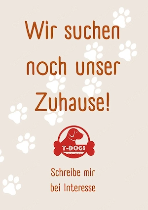 Pflegestellen gesucht 