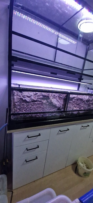 2 Terrarien 